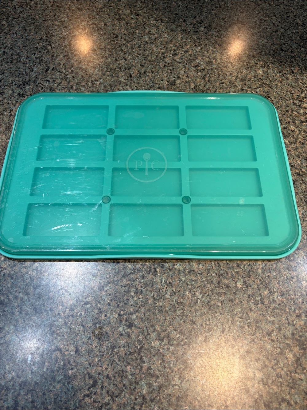 Pampered Chef Teal Silicone Freezer Tray with Lid